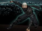 Fortele Ninja 3D