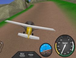 Curse cu Avioane