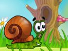 Melcul Bob 5