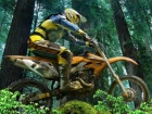 Motocicleta de Teren